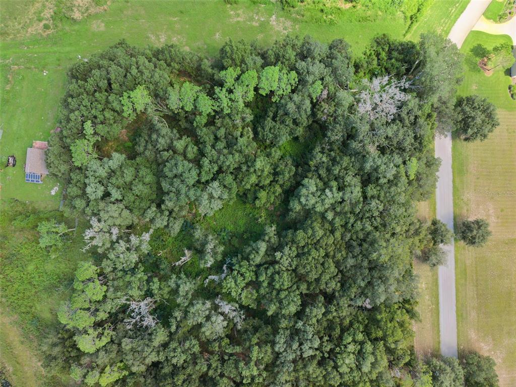 Grass Roots Road Groveland, FL 34736 - Photo 3 of 24 Gallery Image 3