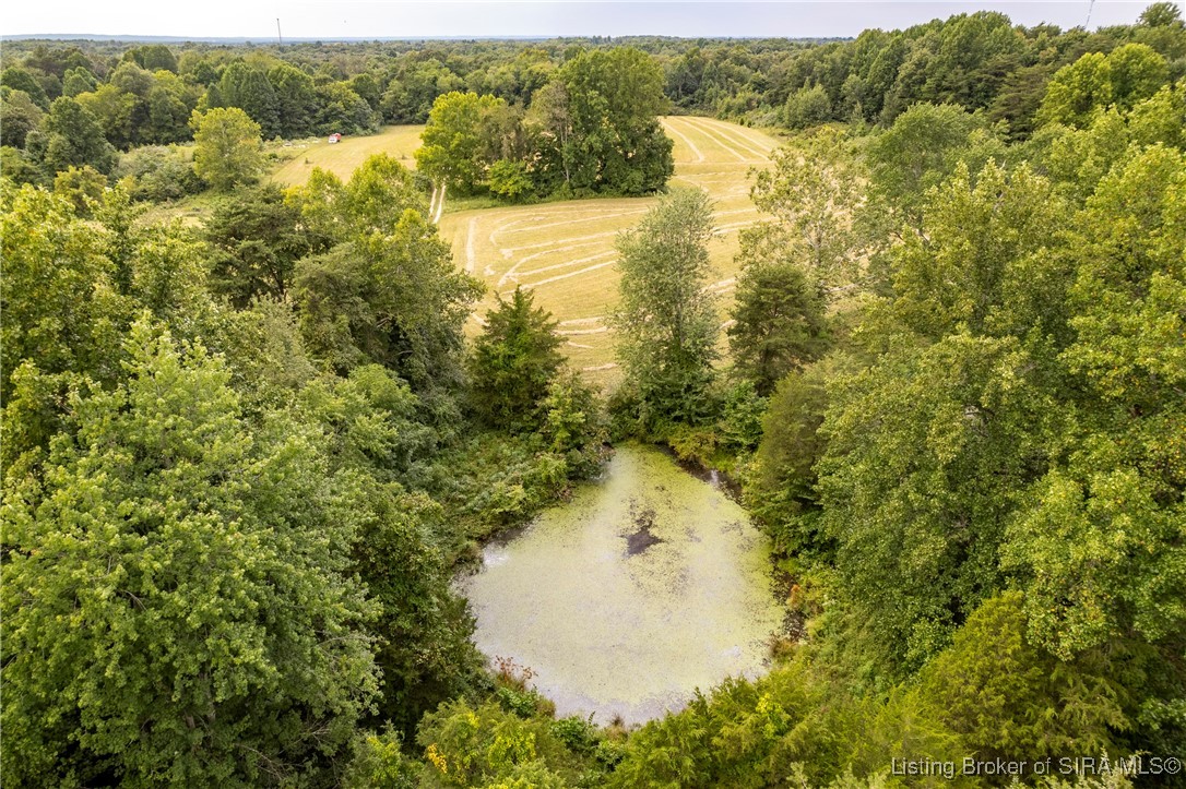 6429 East Blocher Road Lexington, IN 47138 - Photo 51 of 56