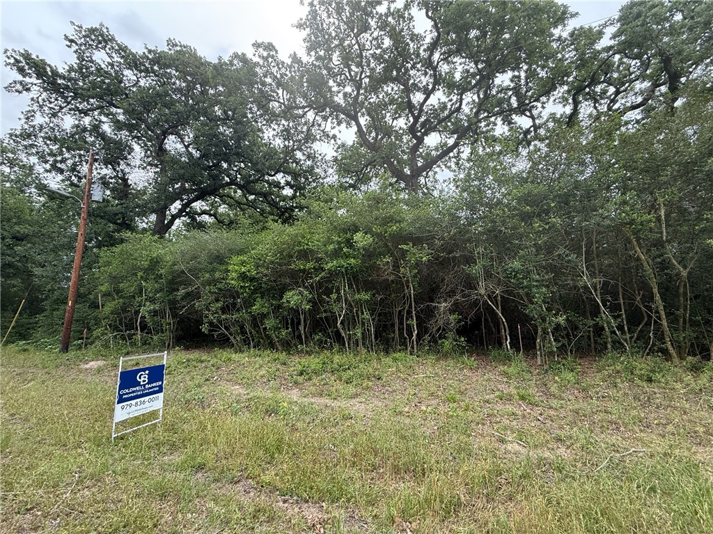 107 Live Oak Lane, Unit A Somerville, TX 77879 - Photo 4 of 5 a view of outdoor space with deck and backyard