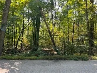 a view of dirt field with trees in background