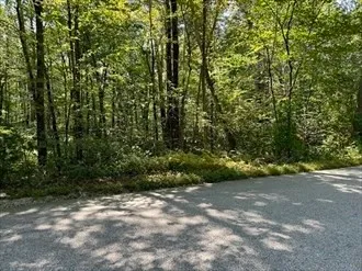 a view of road and trees