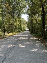 183 South E Main Street Douglas, MA 01516 - Photo 10 of 10 a view of road and trees
