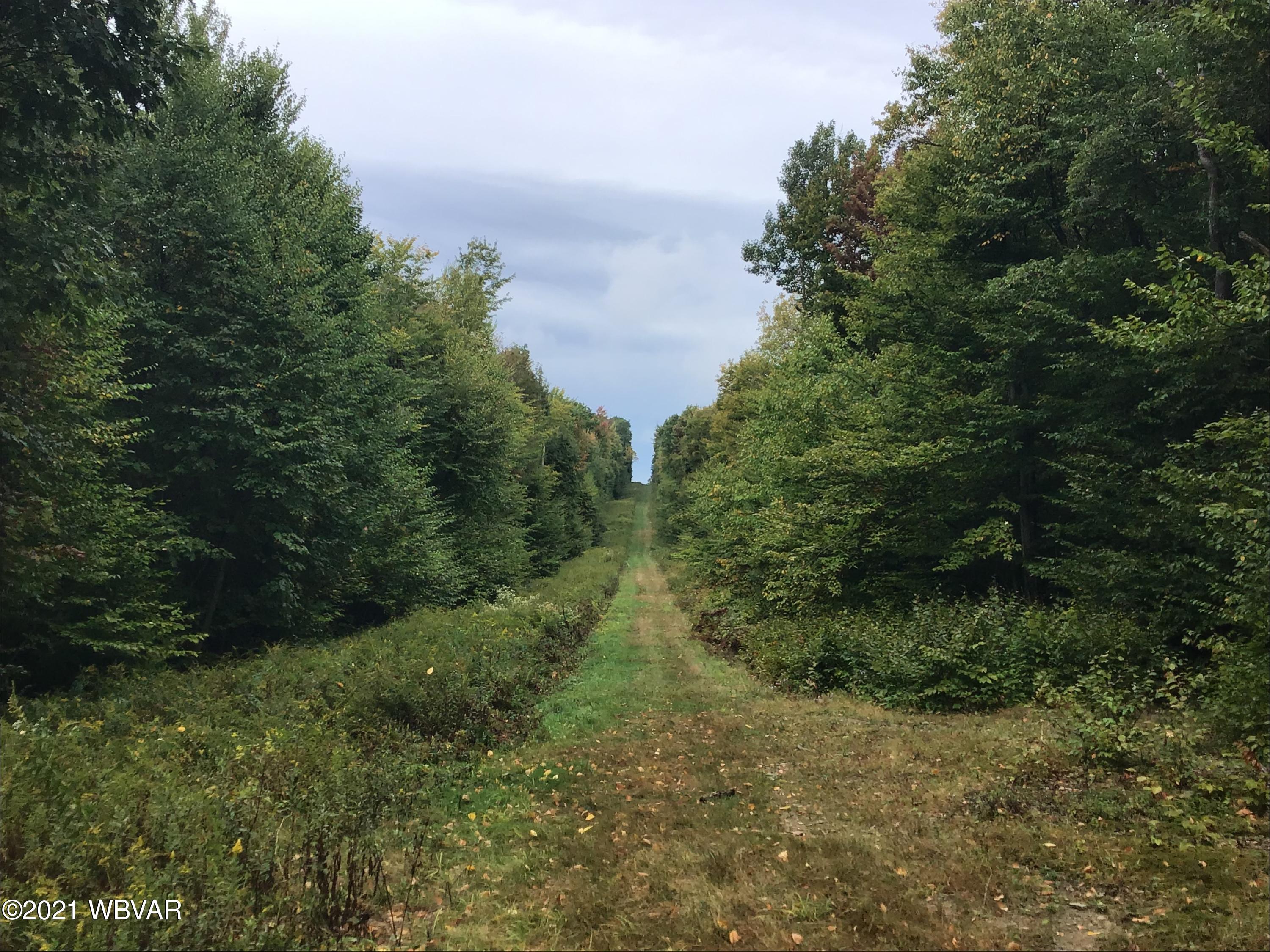 Canada Hollow Road Shinglehouse, PA 16748 - Photo 19 of 22 Gallery Image 19