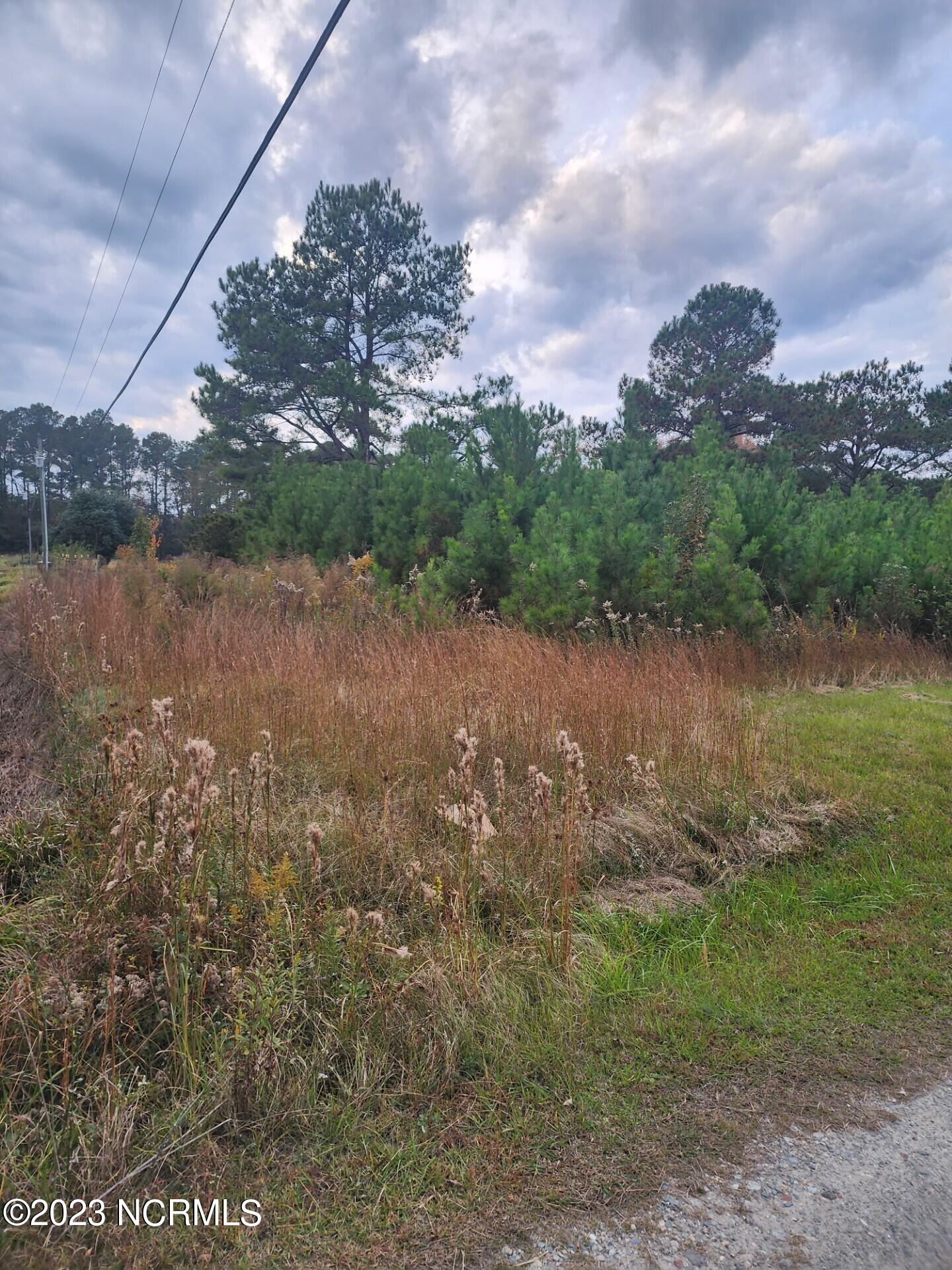 Lot On Porters Lane Road Rocky Point, NC 28457 - Photo 2 of 3 photo 3