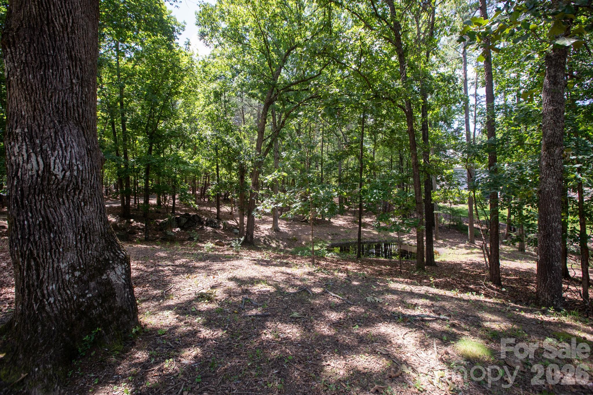 15224 Thomas Road Charlotte, NC 28278 - Photo 33 of 42