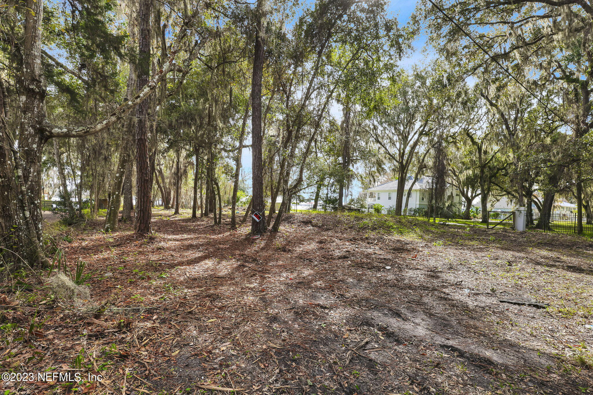 8515 Florence Cove Road St. Augustine, FL 32092 - Photo 10 of 25 North Corner