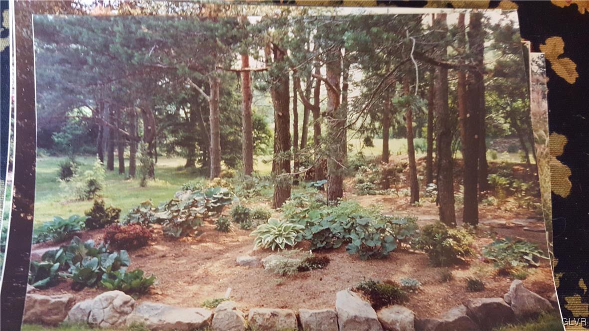 10 Stouts Valley Road Easton, PA 18042 - Photo 21 of 35 a backyard of a house with lots of green space