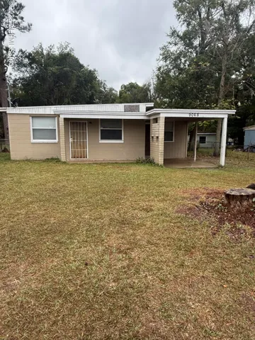 a backyard of a house with plants and large tree