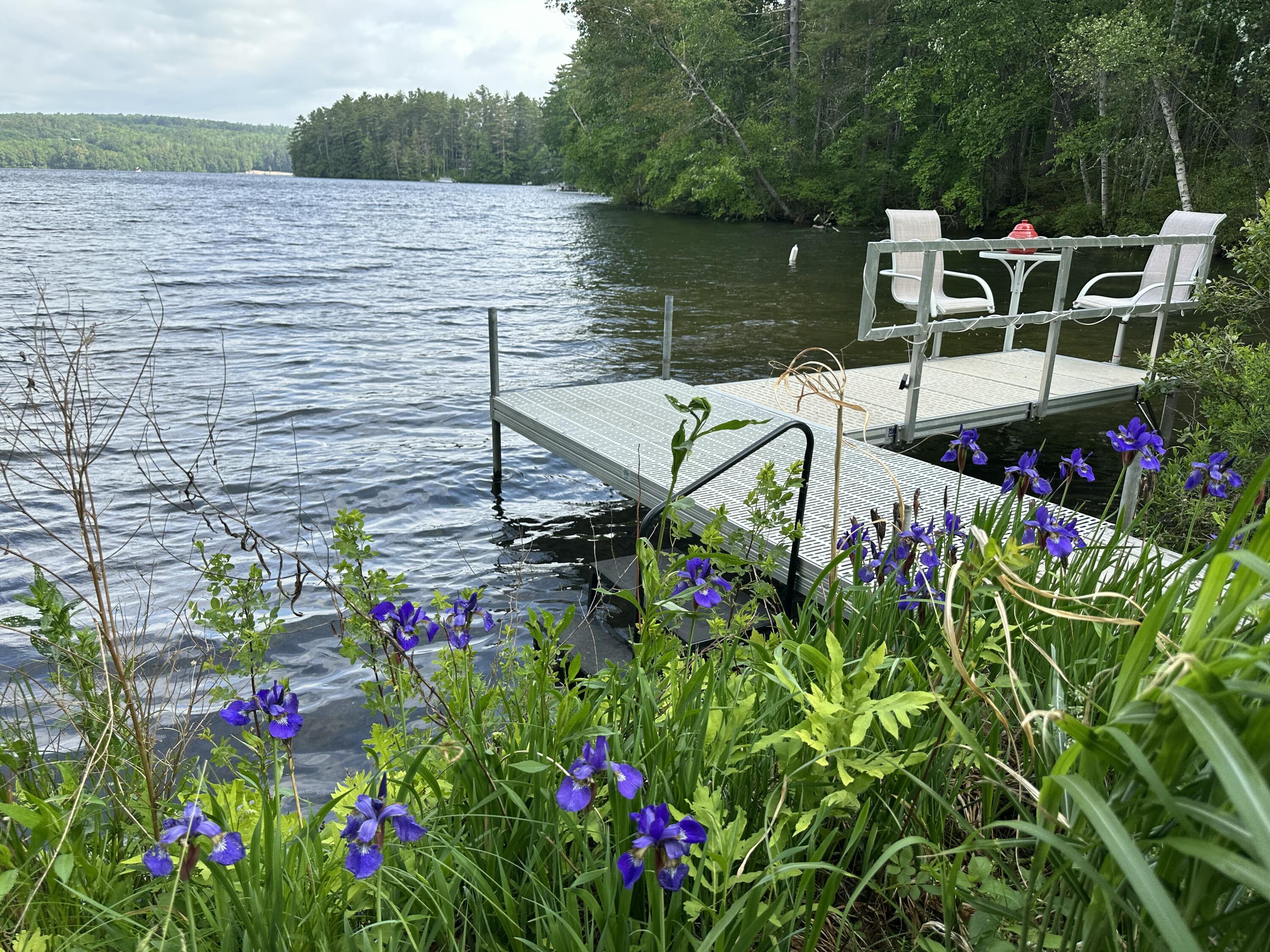 66 Myron Hall Road Raymond, ME 04071 - Photo 44 of 68 Spring Iris