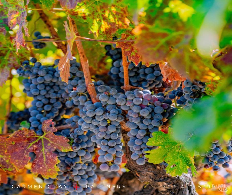 0 Suisun Valley Road Fairfield, CA 94534 - Photo 13 of 33