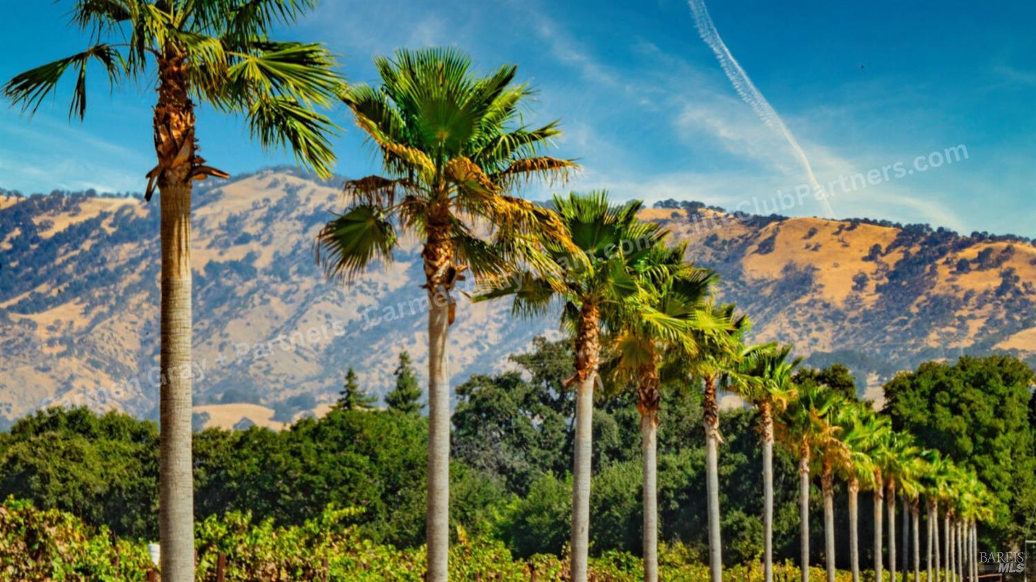 0 Suisun Valley Road Fairfield, CA 94534 - Photo 2 of 33