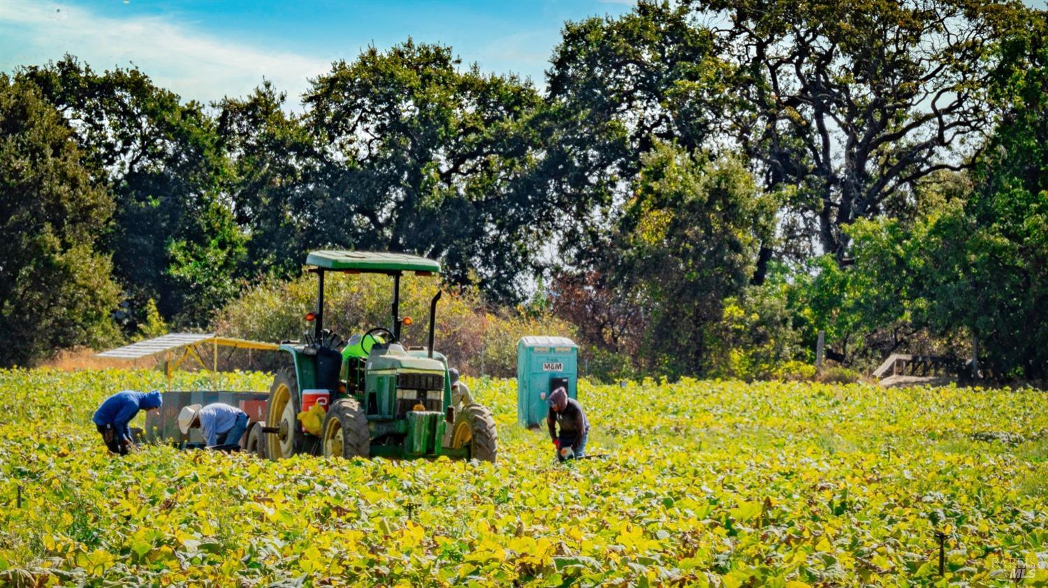 0 Suisun Valley Road Fairfield, CA 94534 - Photo 25 of 33