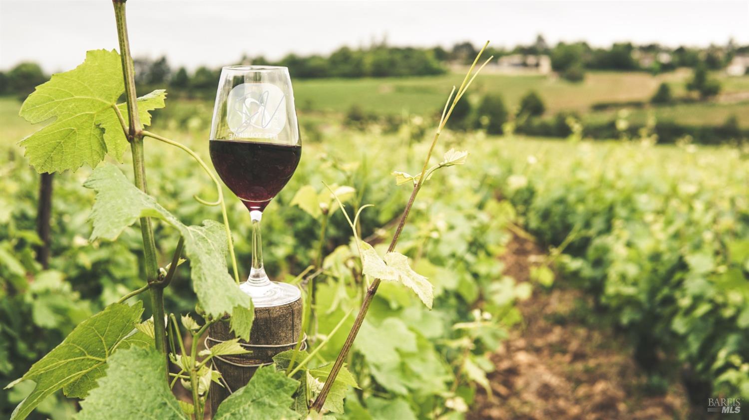 0 Suisun Valley Road Fairfield, CA 94534 - Photo 31 of 33