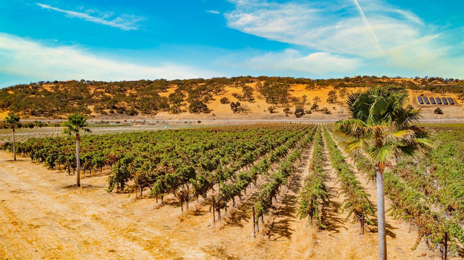 0 Suisun Valley Road Fairfield, CA 94534 - Photo 5 of 33