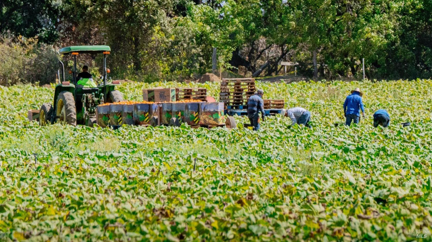 0 Suisun Valley Road Fairfield, CA 94534 - Photo 8 of 33