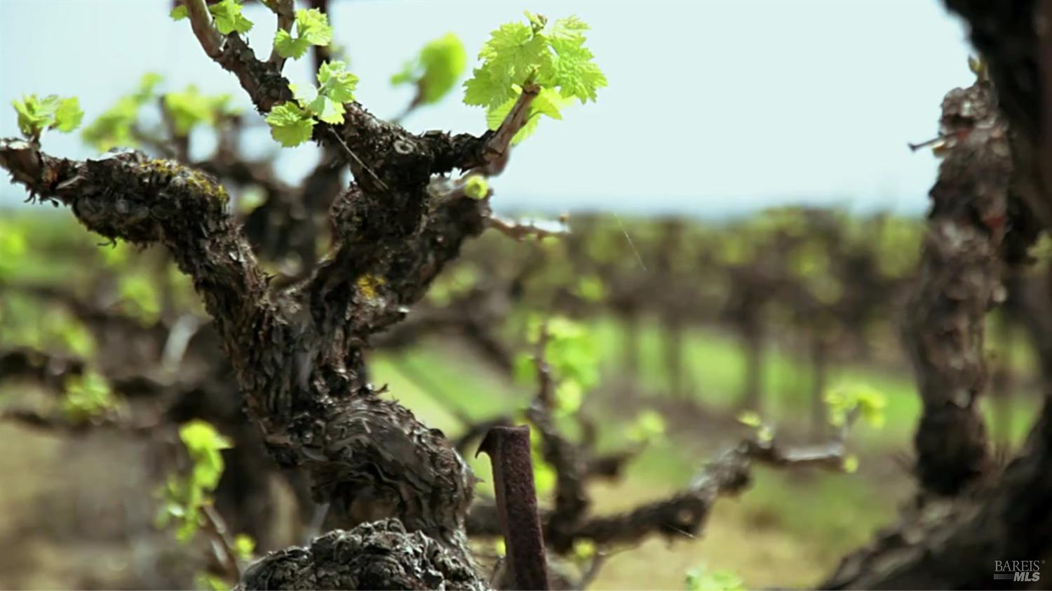 0 Suisun Valley Road Fairfield, CA 94534 - Photo 9 of 33