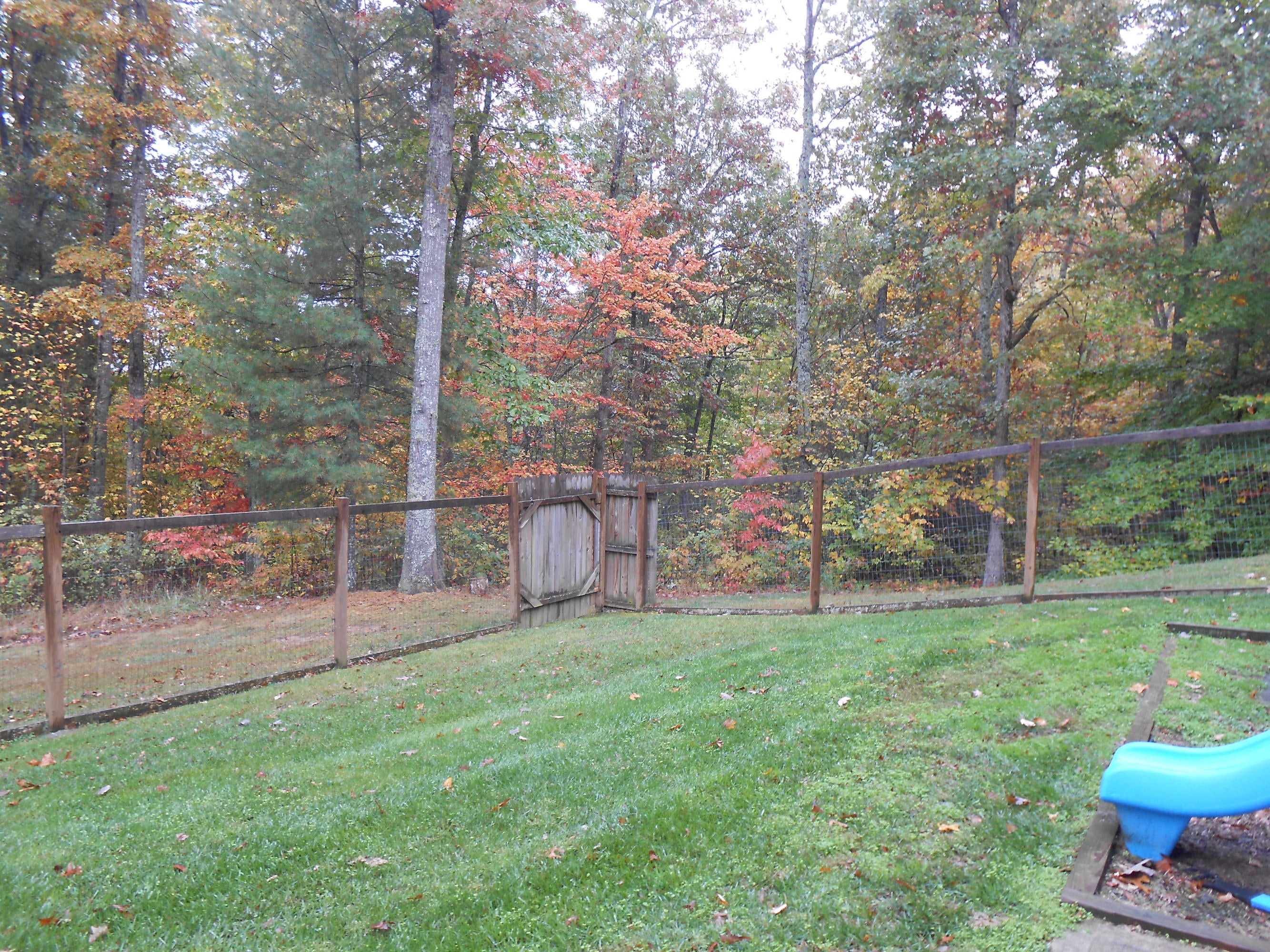 2222 Stone House Road Caldwell, WV 24925 - Photo 57 of 63 Gallery Image 57