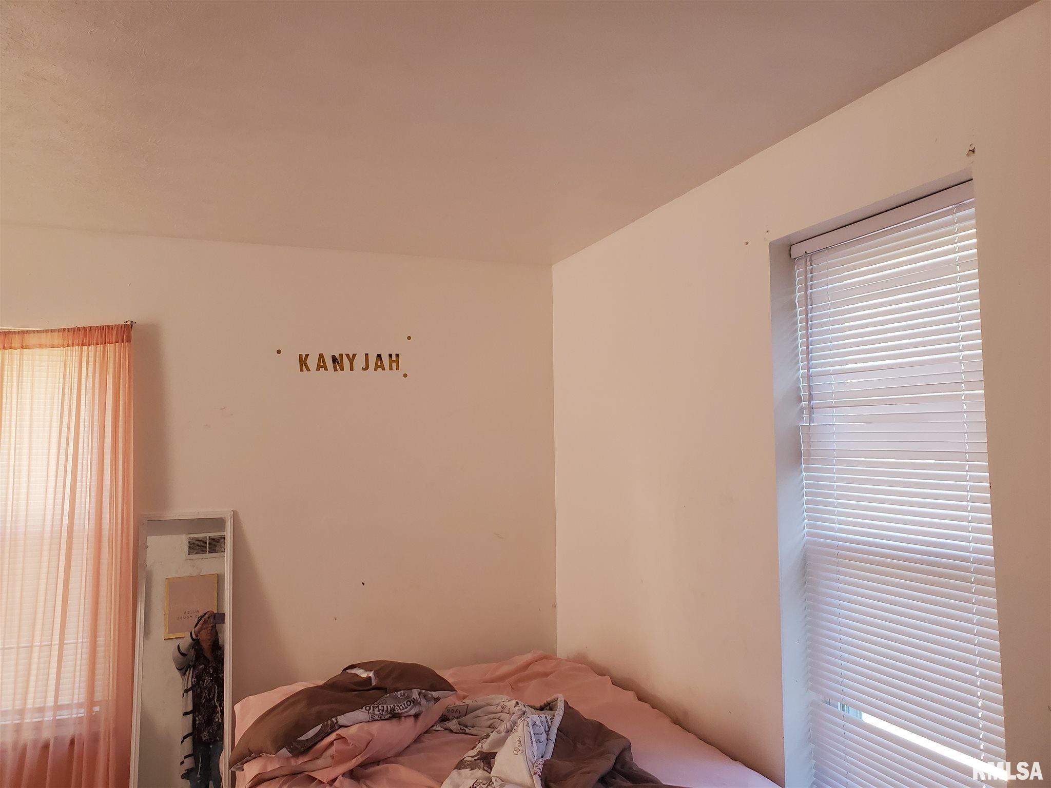 1510 South 8th Street Springfield, IL 62703 - Photo 7 of 18