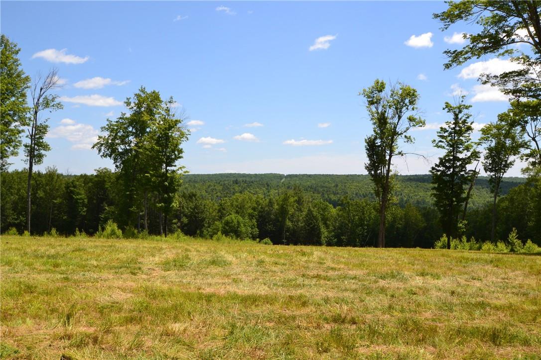 465 Tyler Road Narrowsburg, NY 12764 - Photo 1 of 1 Gallery Image 1