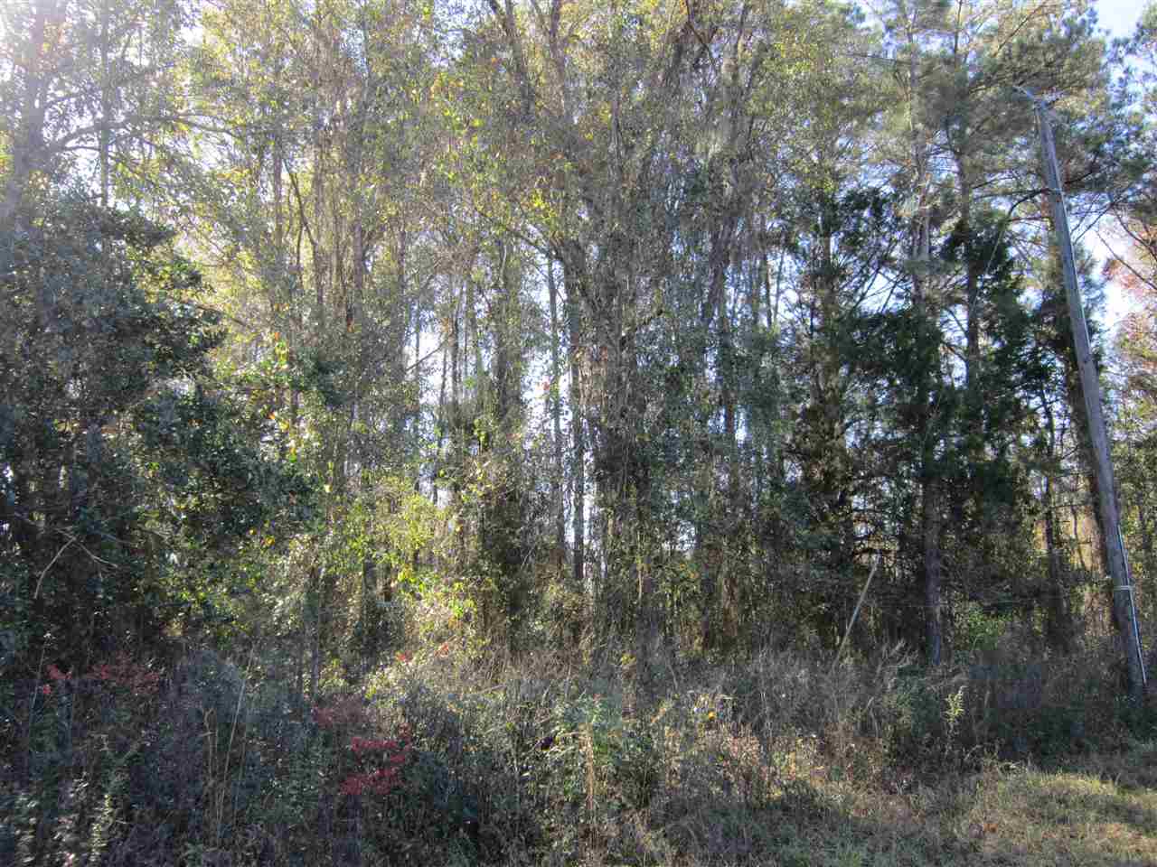 3-acres Southwest Bryan Earnhardt Road, Unit 1 Madison, FL 32340 - Photo 11 of 14 Gallery Image 11