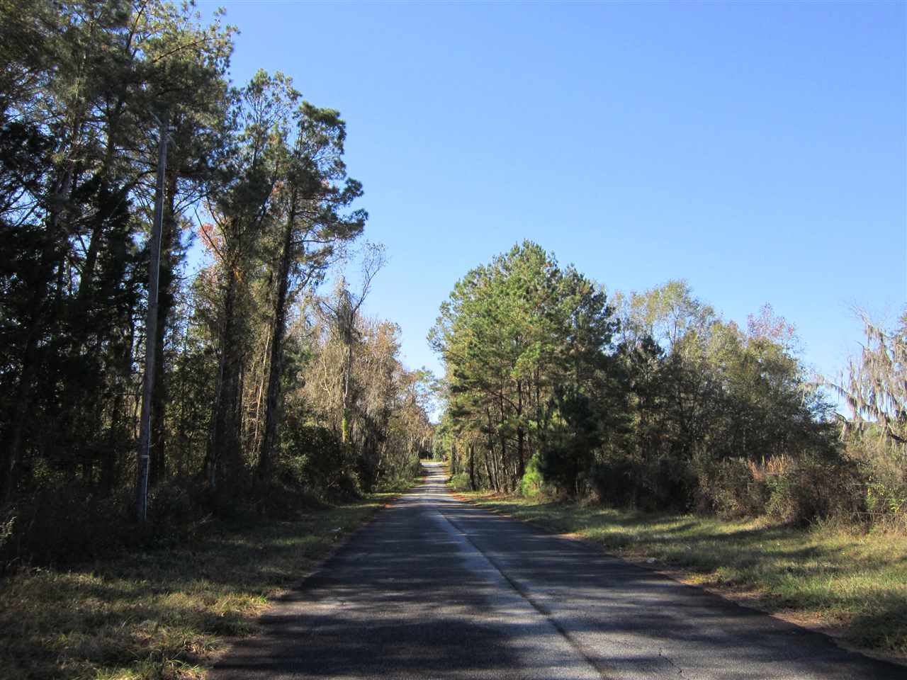 3-acres Southwest Bryan Earnhardt Road, Unit 1 Madison, FL 32340 - Photo 12 of 14 Gallery Image 12
