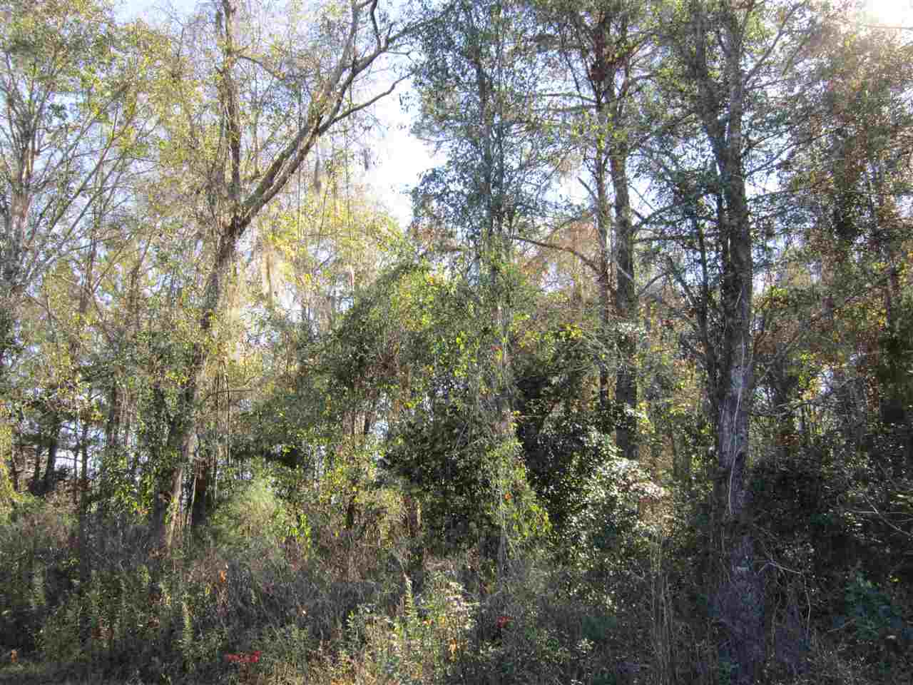 3-acres Southwest Bryan Earnhardt Road, Unit 1 Madison, FL 32340 - Photo 13 of 14 Gallery Image 13