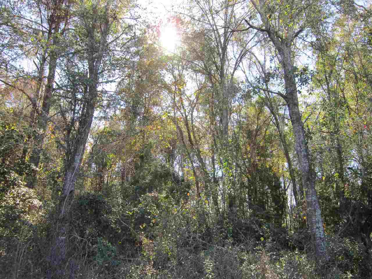 3-acres Southwest Bryan Earnhardt Road, Unit 1 Madison, FL 32340 - Photo 14 of 14 Gallery Image 14
