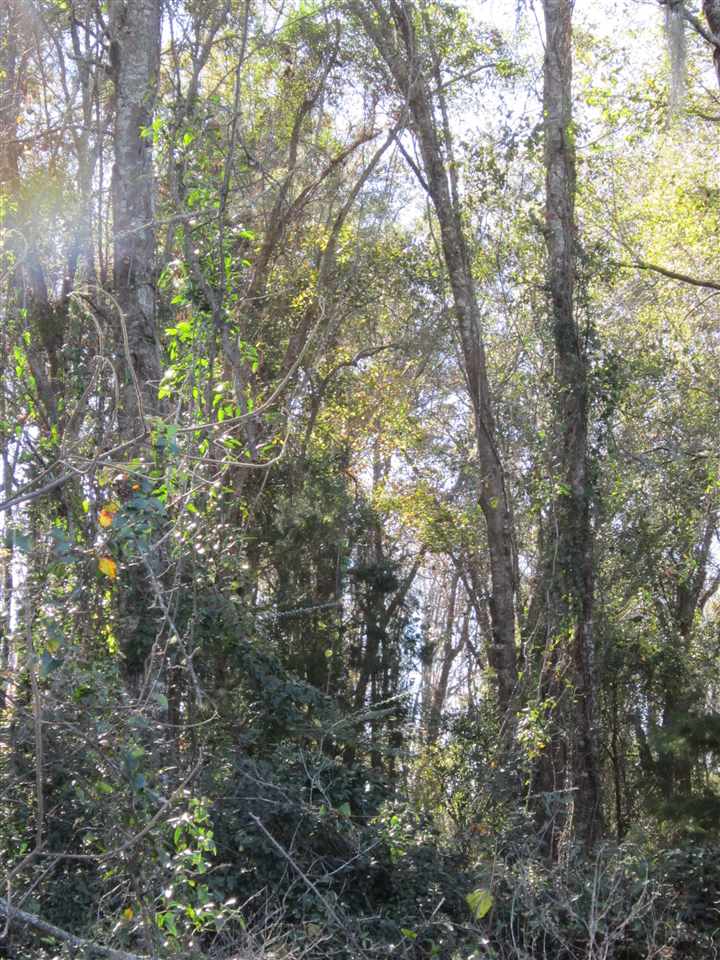 3-acres Southwest Bryan Earnhardt Road, Unit 1 Madison, FL 32340 - Photo 2 of 14 Gallery Image 2