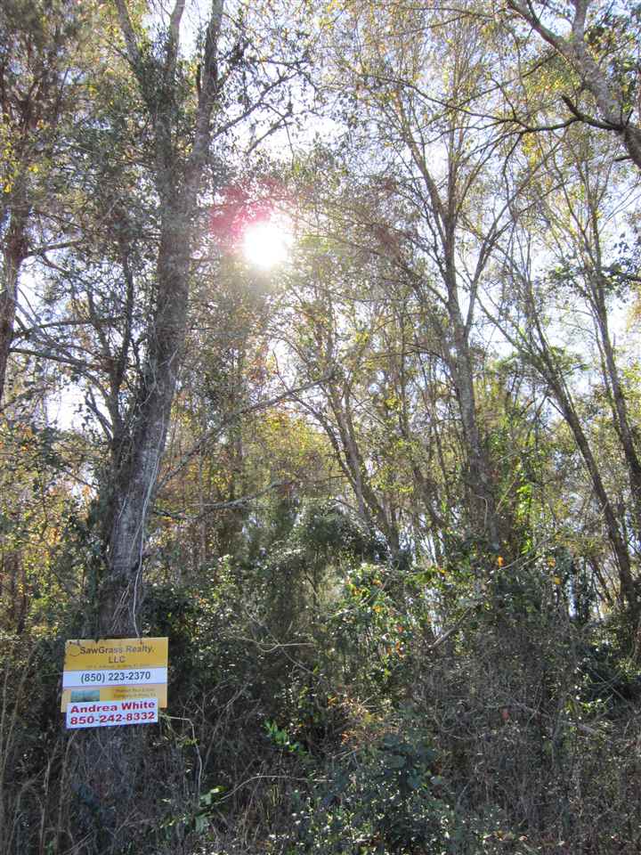 3-acres Southwest Bryan Earnhardt Road, Unit 1 Madison, FL 32340 - Photo 3 of 14 Gallery Image 3