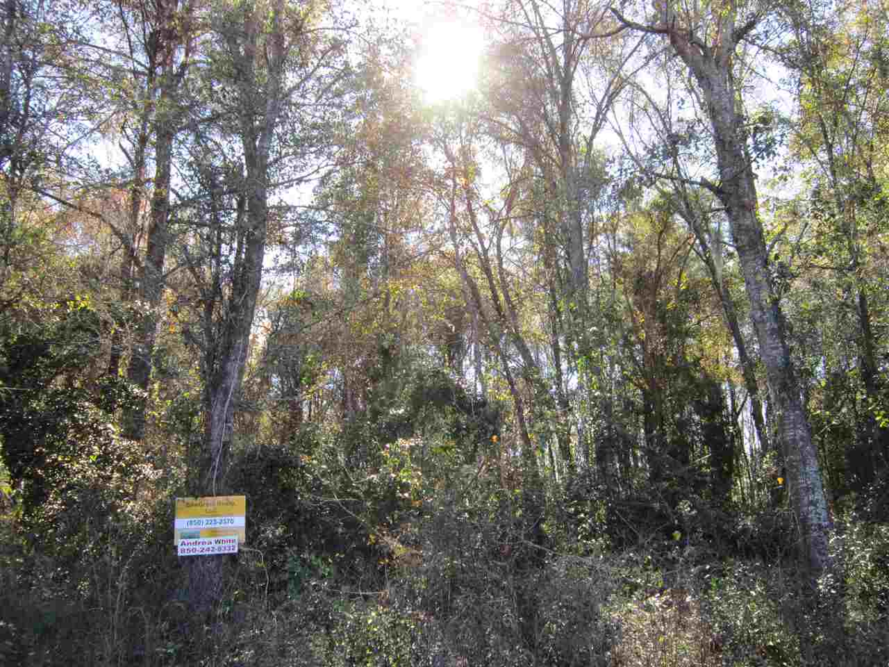 3-acres Southwest Bryan Earnhardt Road, Unit 1 Madison, FL 32340 - Photo 4 of 14 Gallery Image 4
