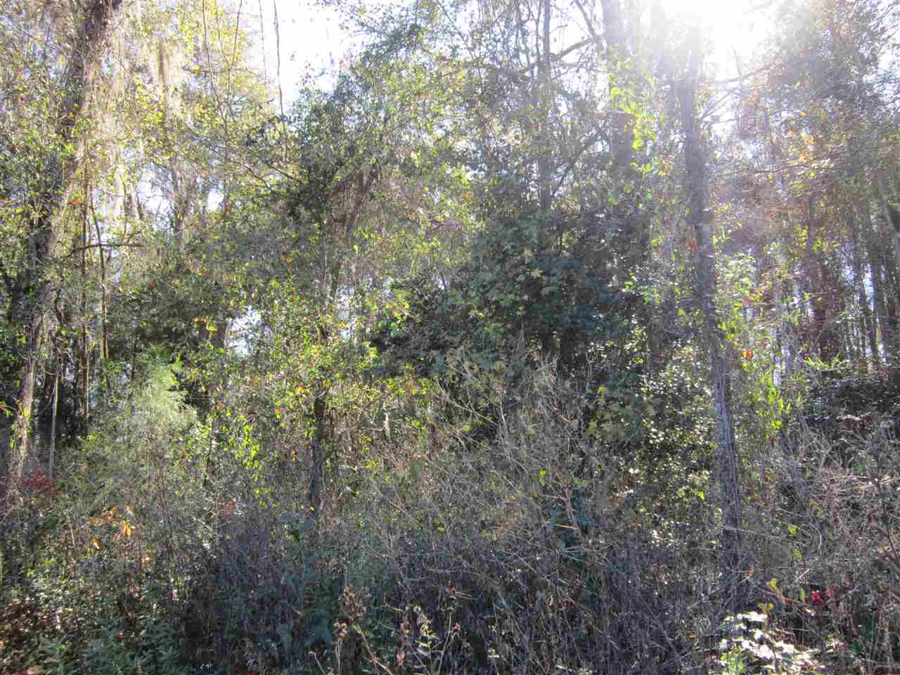 3-acres Southwest Bryan Earnhardt Road, Unit 1 Madison, FL 32340 - Photo 5 of 14 Gallery Image 5
