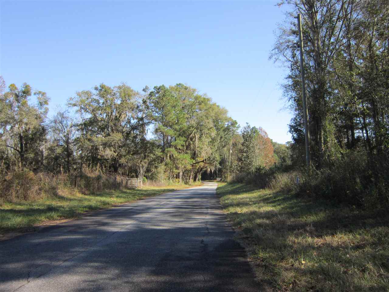3-acres Southwest Bryan Earnhardt Road, Unit 1 Madison, FL 32340 - Photo 7 of 14 Gallery Image 7