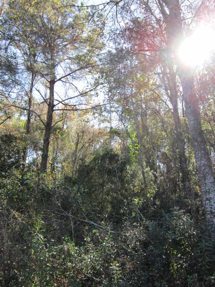 3-acres Southwest Bryan Earnhardt Road, Unit 1 Madison, FL 32340 - Photo 8 of 14 Gallery Image 8