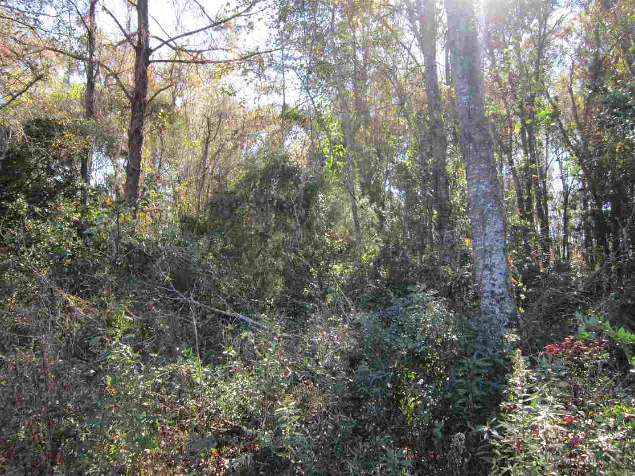 3-acres Southwest Bryan Earnhardt Road, Unit 1 Madison, FL 32340 - Photo 9 of 14 Gallery Image 9