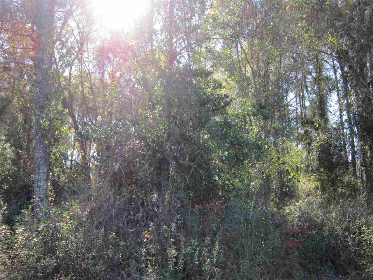 3-acres Southwest Bryan Earnhardt Road, Unit 1 Madison, FL 32340 - Photo 10 of 14 Gallery Image 10