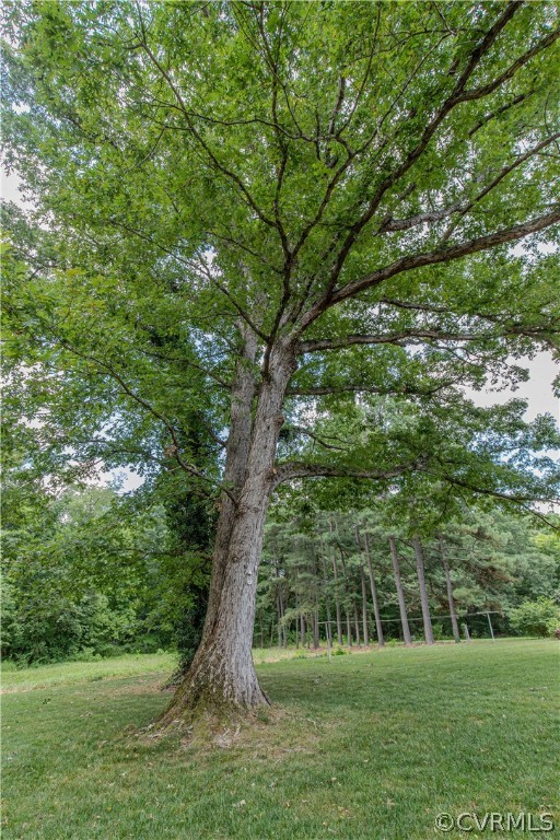 8205 Buffin Road Henrico, VA 23231 - Photo 33 of 42 a view of a park with large trees