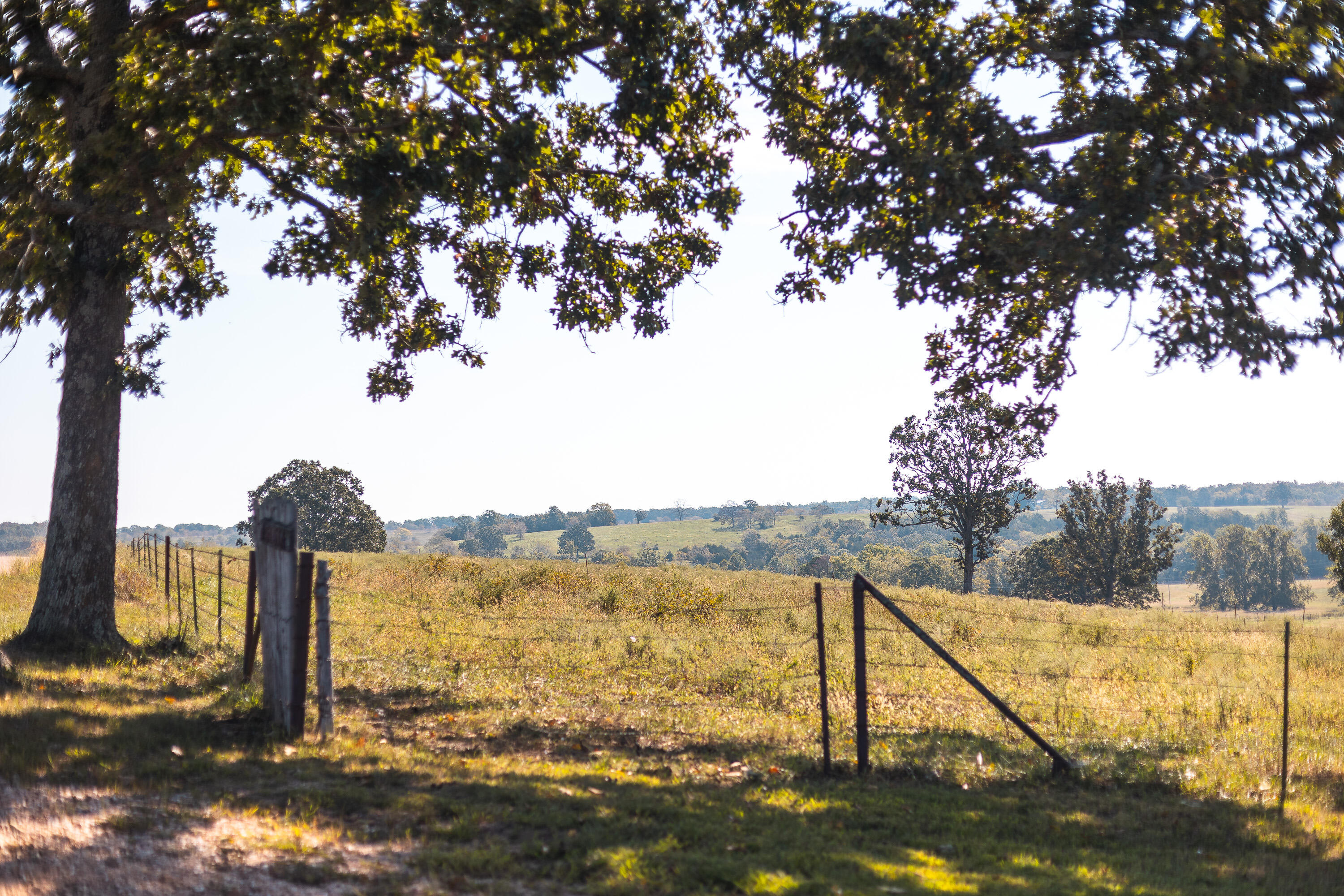 5451 Bado Road Cabool, MO 65689 - Photo 96 of 111 HF7A6009