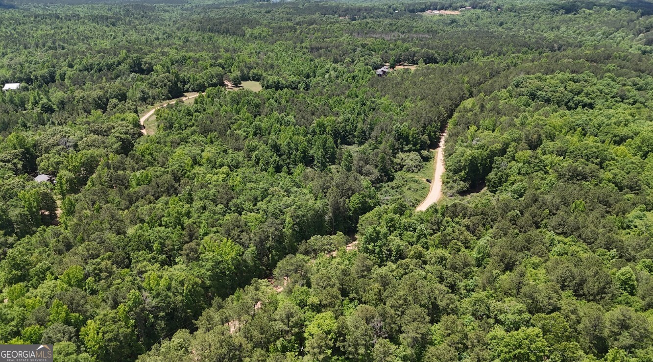 0 Creek Road, Unit LOT 2 Ashland, AL 36251 - Photo 6 of 20