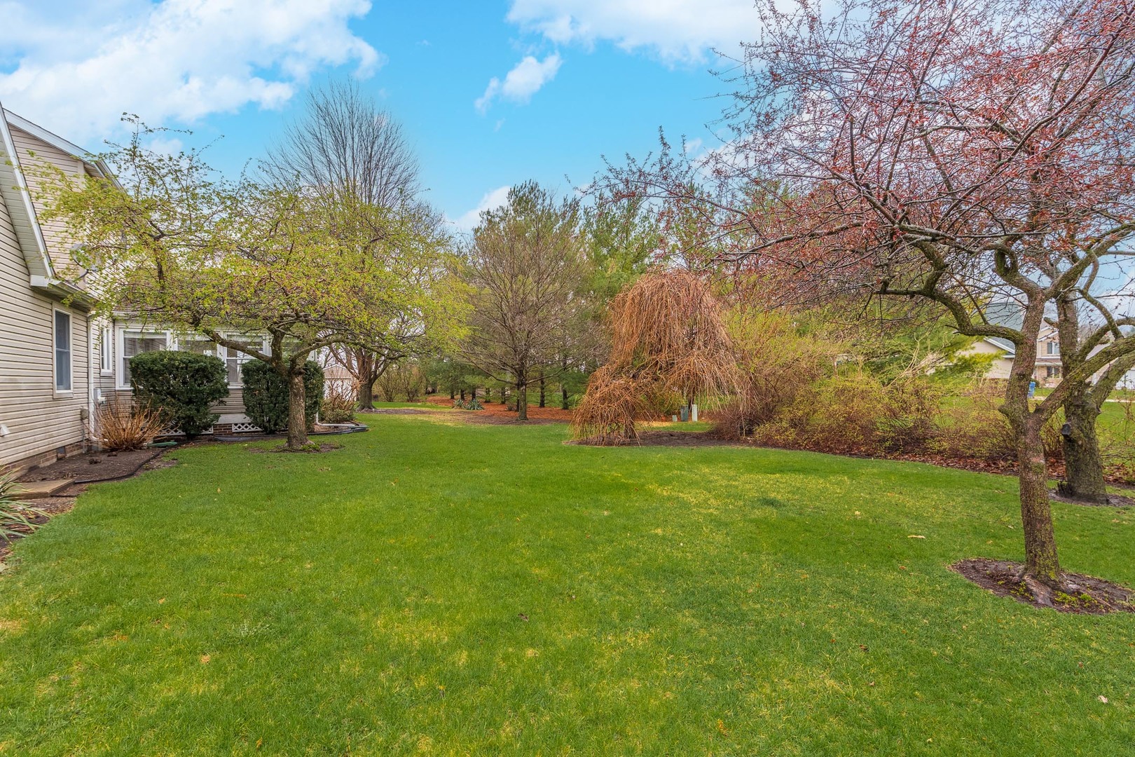 1402 East Indiana Avenue Pontiac, IL 61764 - Photo 50 of 54 a view of a park with large trees