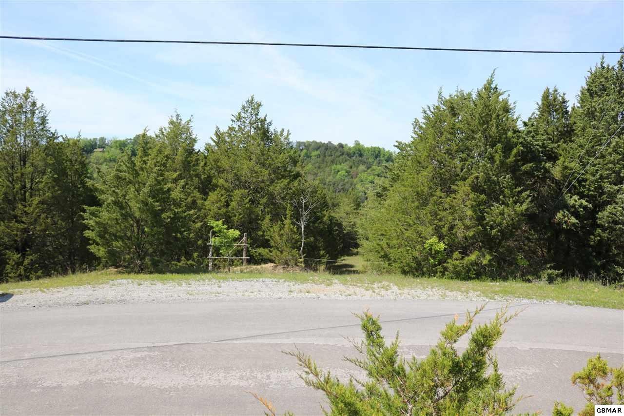 0 Lot 35 Buck Horn Road Sevierville, TN 37876 - Photo 1 of 30