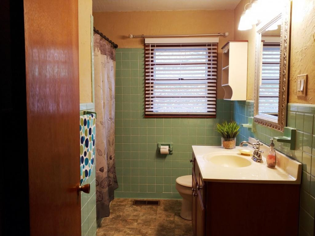 3297 Island Road Blountville, TN 37617 - Photo 5 of 14 TUB AND SHOWER