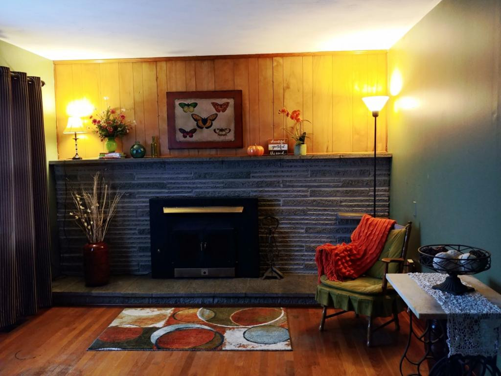 3297 Island Road Blountville, TN 37617 - Photo 10 of 14 COZY LIVING ROOM