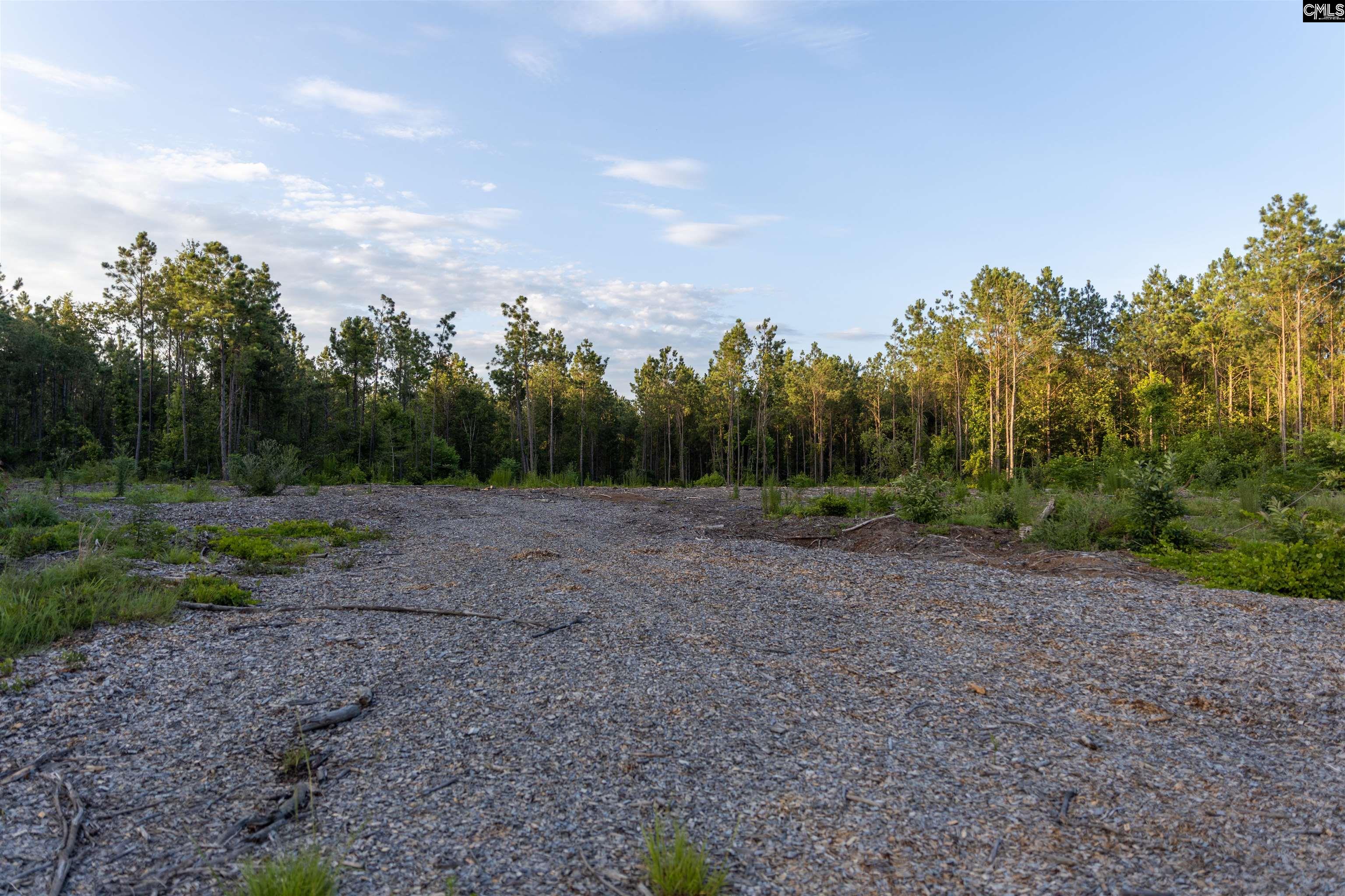 Tbd Rizer Cemetery Road Ehrhardt, SC 29081 - Photo 5 of 17