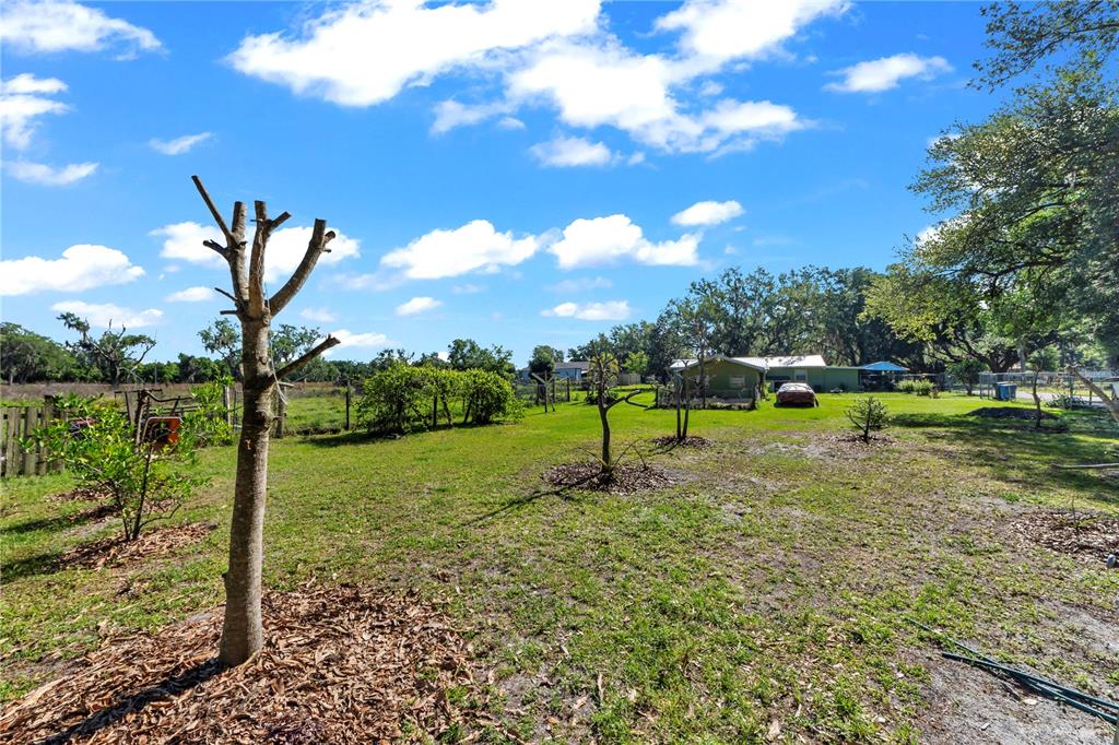 13610 Acker Road Dover, FL 33527 - Photo 17 of 53 a view of a park