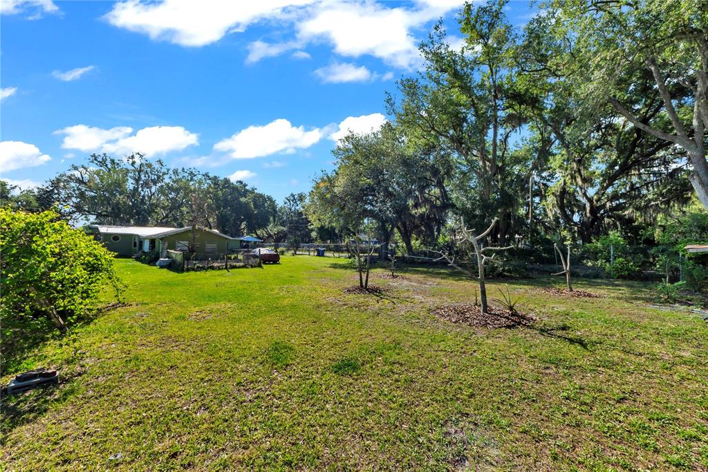 13610 Acker Road Dover, FL 33527 - Photo 18 of 53 a view of a entertaining space