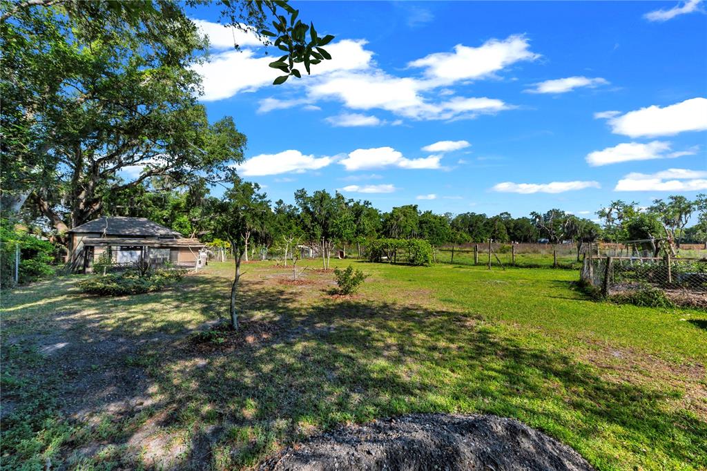 13610 Acker Road Dover, FL 33527 - Photo 19 of 53 a view of a garden with a tree
