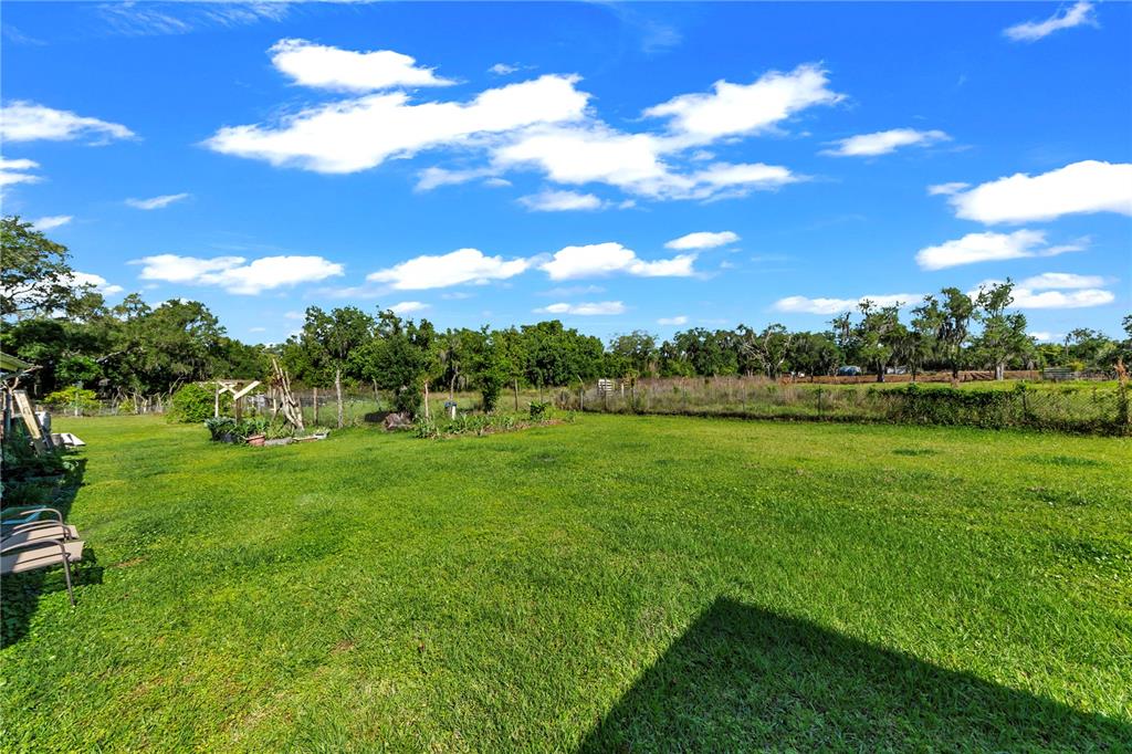 13610 Acker Road Dover, FL 33527 - Photo 21 of 53 a view of an outdoor space and yard