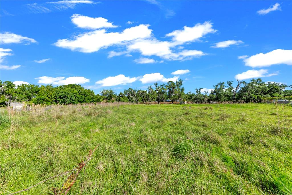 13610 Acker Road Dover, FL 33527 - Photo 23 of 53 a view of a green field with clear sky
