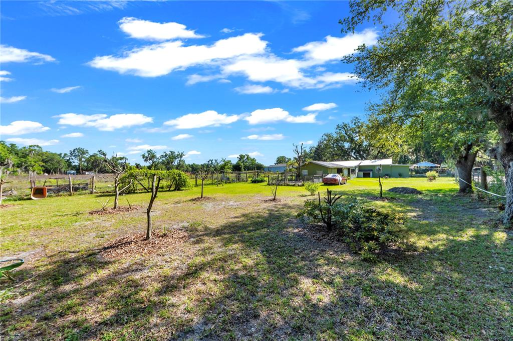 13610 Acker Road Dover, FL 33527 - Photo 29 of 53
