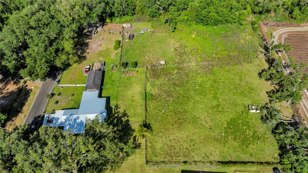 13610 Acker Road Dover, FL 33527 - Photo 4 of 53